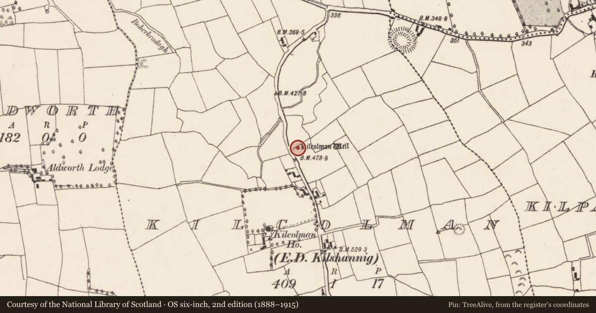 Ordnance Survey six-inch map, 2nd edition (1888–1915) covering the location of Ritual site - holy well, Kilcolman (Duhallow By., Kilshannig Par.), County Cork, with a pin at the register's coordinates