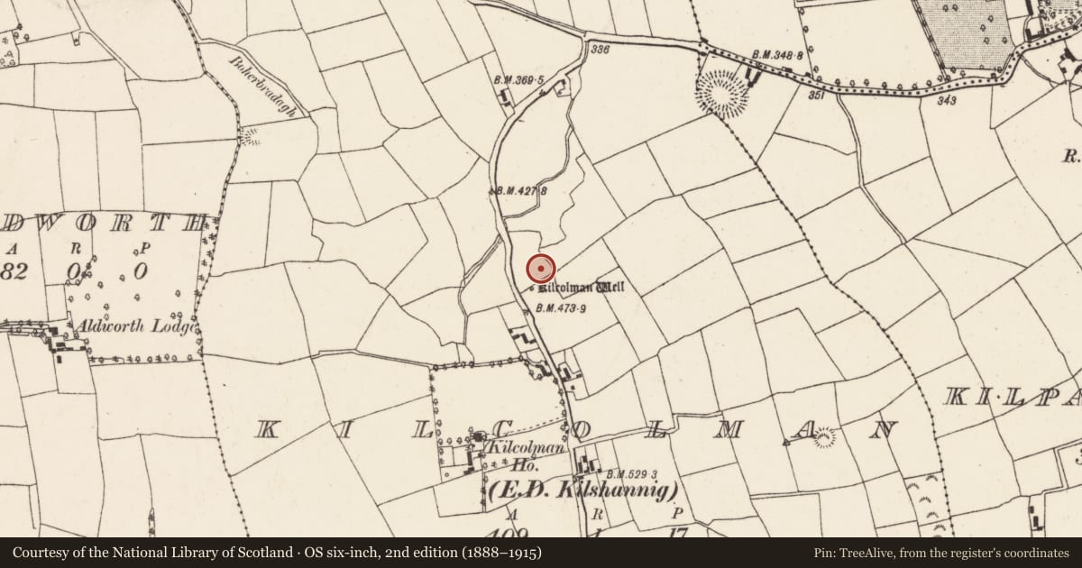 Ordnance Survey six-inch map, 2nd edition (1888–1915) covering the location of Fulacht fia, Kilcolman (Duhallow By., Kilshannig Par.), County Cork, with a pin at the register's coordinates