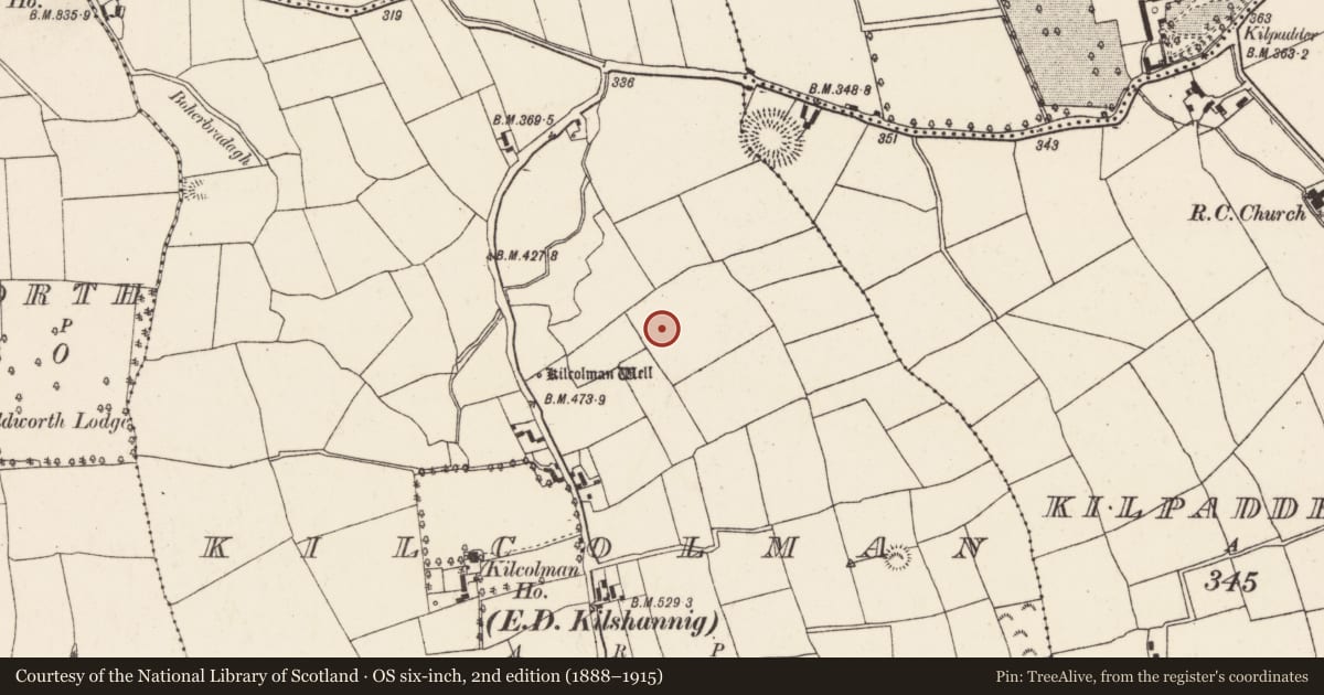 Ordnance Survey six-inch map, 2nd edition (1888–1915) covering the location of Church, Kilcolman (Duhallow By., Kilshannig Par.), County Cork, with a pin at the register's coordinates