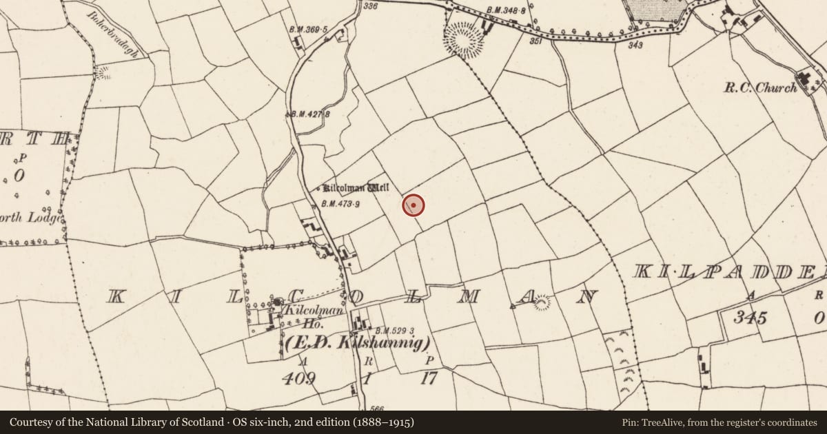 Ordnance Survey six-inch map, 2nd edition (1888–1915) covering the location of Ringfort - rath, Kilcolman (Duhallow By., Kilshannig Par.), County Cork, with a pin at the register's coordinates