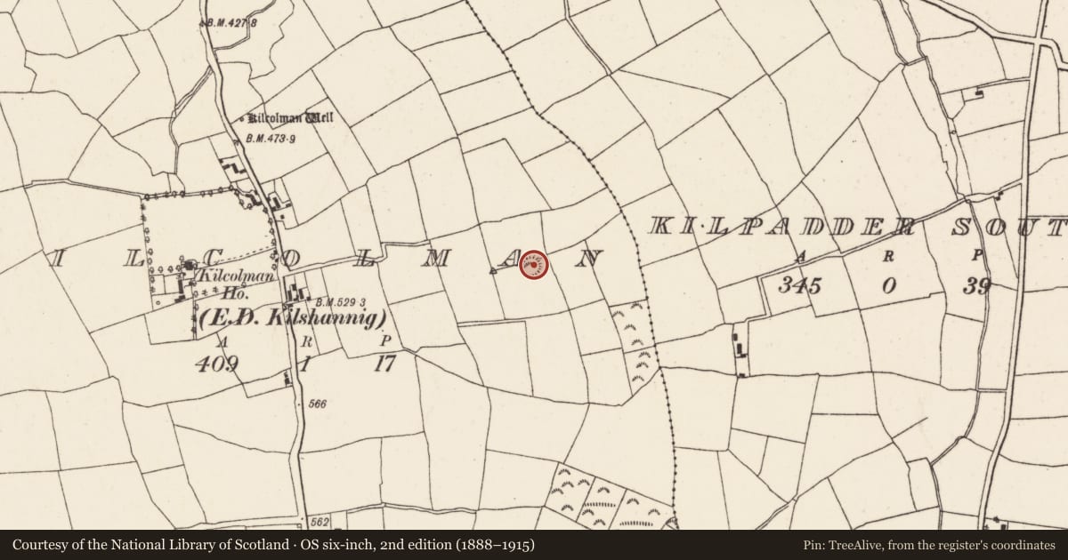 Ordnance Survey six-inch map, 2nd edition (1888–1915) covering the location of Ringfort - rath, Kilcolman (Duhallow By., Kilshannig Par.), County Cork, with a pin at the register's coordinates