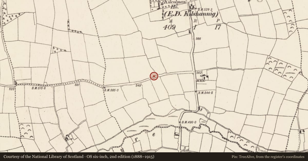 Ordnance Survey six-inch map, 2nd edition (1888–1915) covering the location of Enclosure, Kilcolman (Duhallow By., Kilshannig Par.), County Cork, with a pin at the register's coordinates