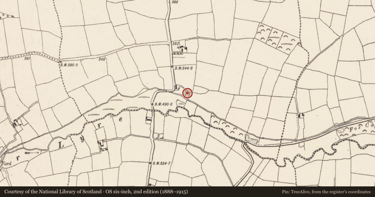 Ordnance Survey six-inch map, 2nd edition (1888–1915) covering the location of Kiln - lime, Kilcolman (Duhallow By., Kilshannig Par.), County Cork, with a pin at the register's coordinates