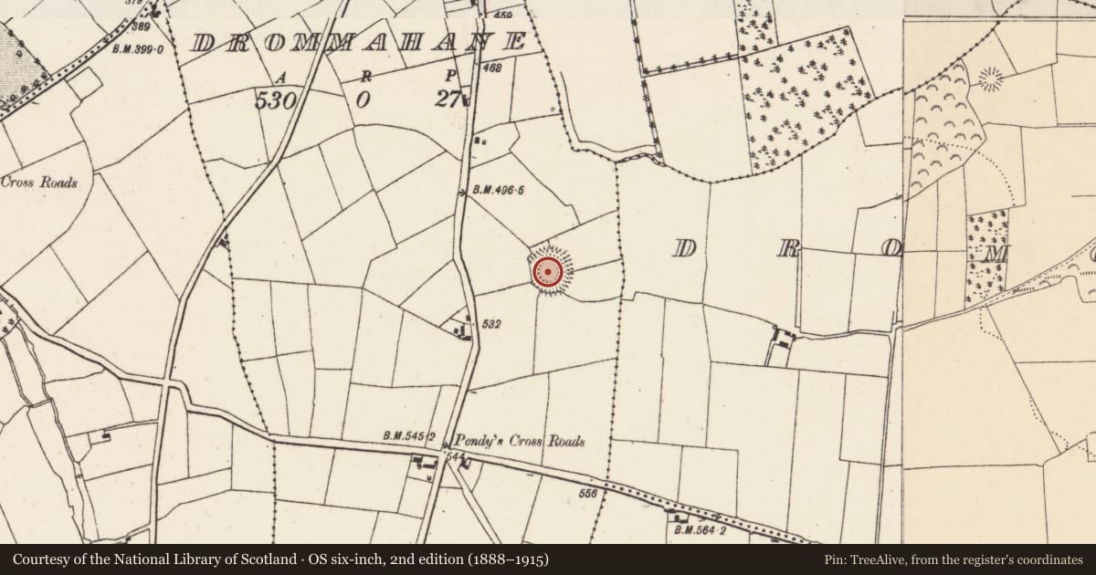Ordnance Survey six-inch map, 2nd edition (1888–1915) covering the location of Ringfort - rath, Drommahane, County Cork, with a pin at the register's coordinates