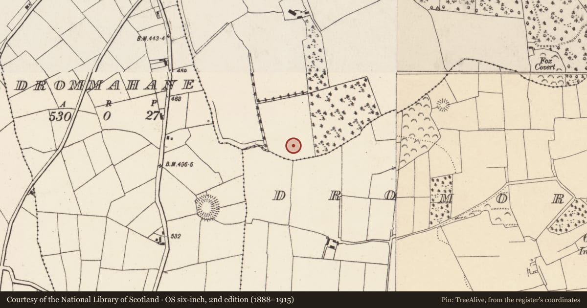 Ordnance Survey six-inch map, 2nd edition (1888–1915) covering the location of Fulacht fia, Dromore, County Cork, with a pin at the register's coordinates