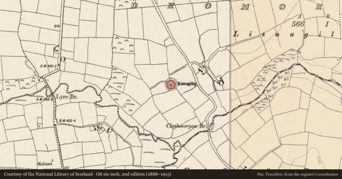 Ordnance Survey six-inch map, 2nd edition (1888–1915) covering the location of Ringfort - rath, Dromore South, County Cork, with a pin at the register's coordinates