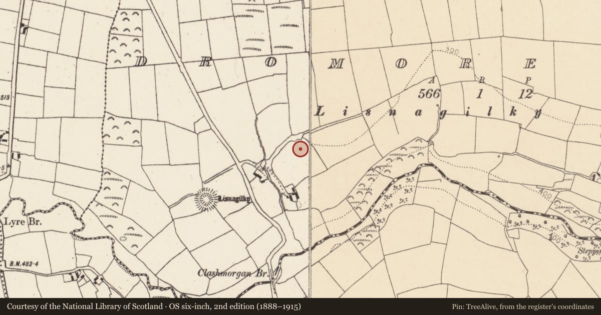 Ordnance Survey six-inch map, 2nd edition (1888–1915) covering the location of Souterrain, Dromore South, County Cork, with a pin at the register's coordinates