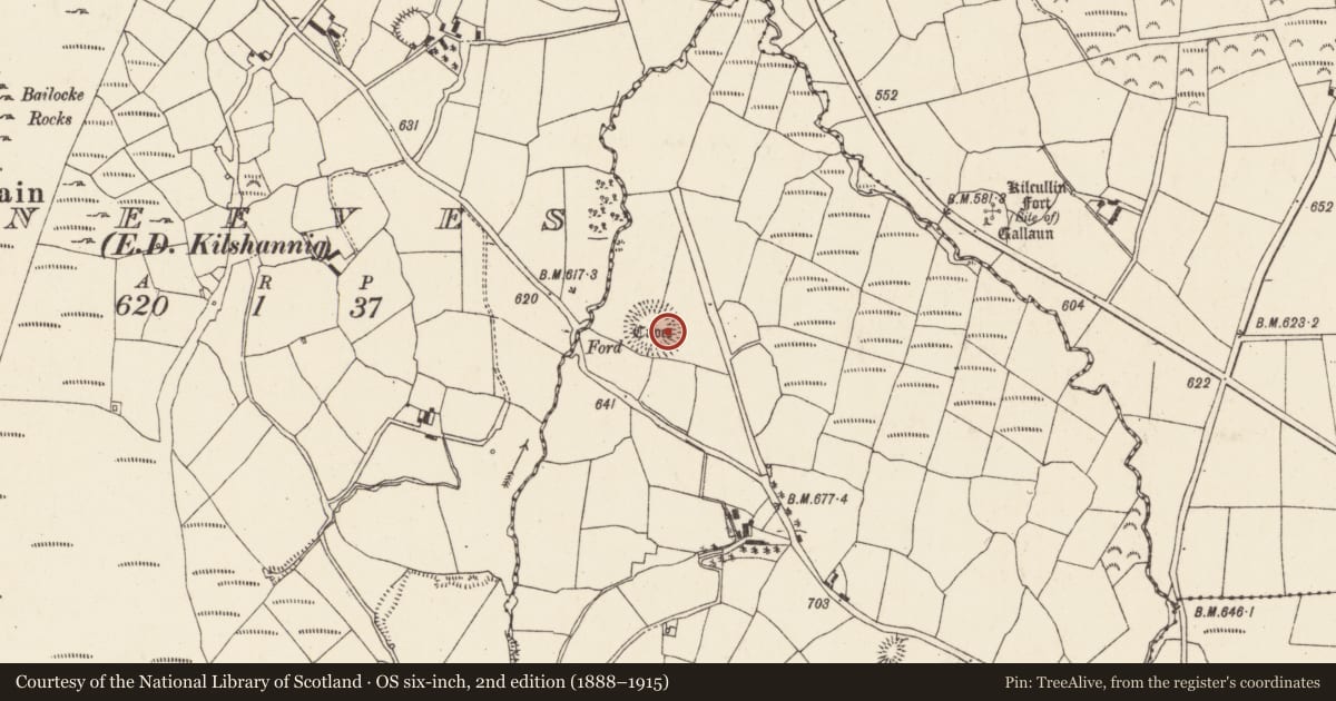 Ordnance Survey six-inch map, 2nd edition (1888–1915) covering the location of Ringfort - rath, Garrane (Duhallow By., Kilshannig Par.), County Cork, with a pin at the register's coordinates