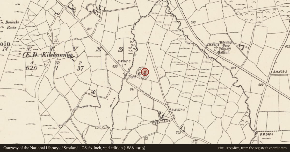 Ordnance Survey six-inch map, 2nd edition (1888–1915) covering the location of Souterrain, Garrane (Duhallow By., Kilshannig Par.), County Cork, with a pin at the register's coordinates