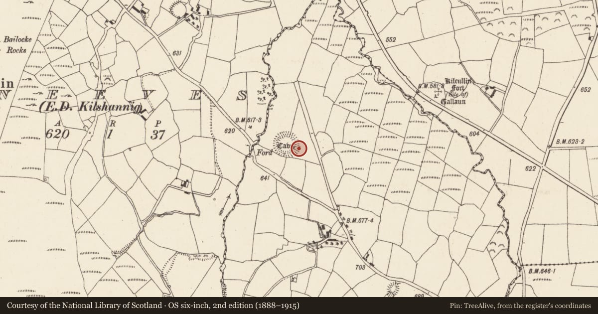 Ordnance Survey six-inch map, 2nd edition (1888–1915) covering the location of Souterrain, Garrane (Duhallow By., Kilshannig Par.), County Cork, with a pin at the register's coordinates