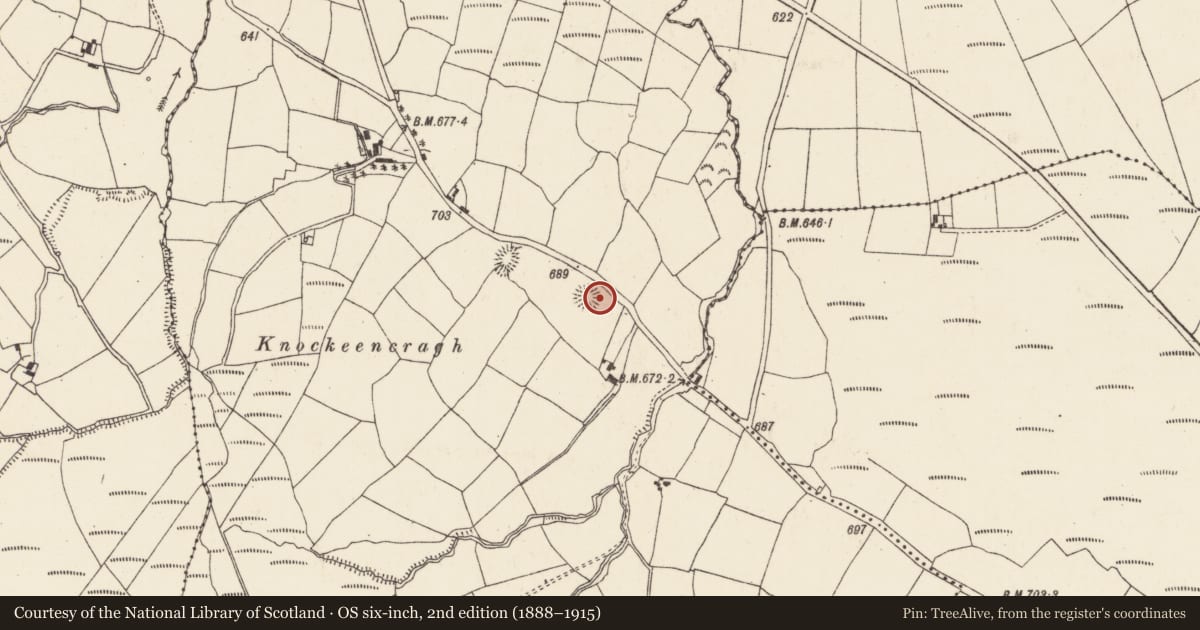 Ordnance Survey six-inch map, 2nd edition (1888–1915) covering the location of Ringfort - rath, Garrane (Duhallow By., Kilshannig Par.), County Cork, with a pin at the register's coordinates