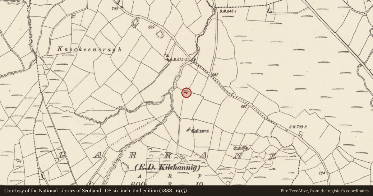 Ordnance Survey six-inch map, 2nd edition (1888–1915) covering the location of Enclosure, Garrane (Duhallow By., Kilshannig Par.), County Cork, with a pin at the register's coordinates