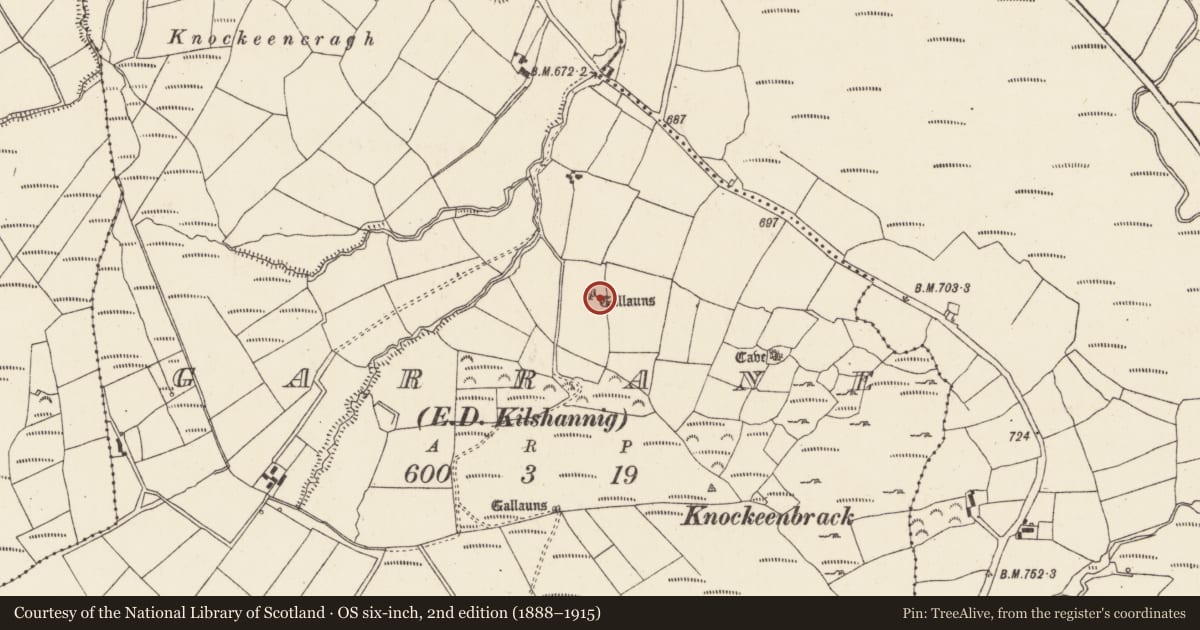 Ordnance Survey six-inch map, 2nd edition (1888–1915) covering the location of Stone row, Garrane (Duhallow By., Kilshannig Par.), County Cork, with a pin at the register's coordinates