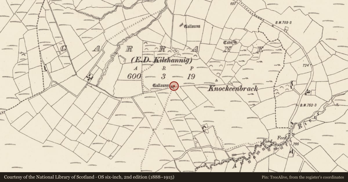 Ordnance Survey six-inch map, 2nd edition (1888–1915) covering the location of Standing stone - pair, Garrane (Duhallow By., Kilshannig Par.), County Cork, with a pin at the register's coordinates