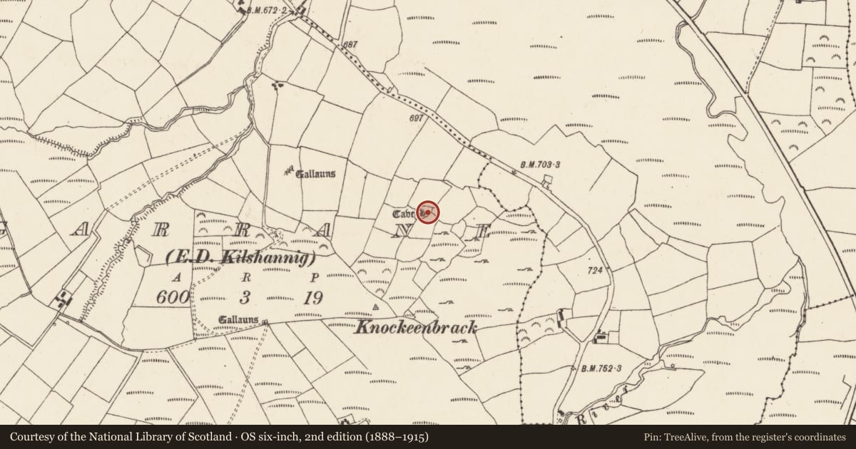 Ordnance Survey six-inch map, 2nd edition (1888–1915) covering the location of Ringfort - rath, Garrane (Duhallow By., Kilshannig Par.), County Cork, with a pin at the register's coordinates