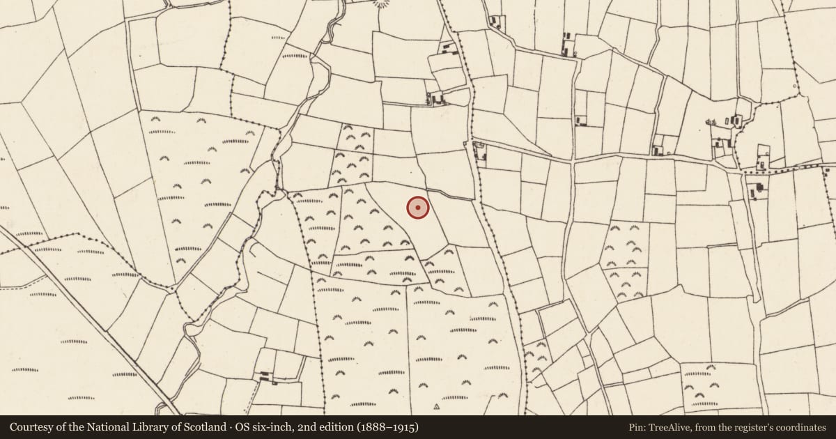 Ordnance Survey six-inch map, 2nd edition (1888–1915) covering the location of Enclosure, Ballyboght, County Cork, with a pin at the register's coordinates