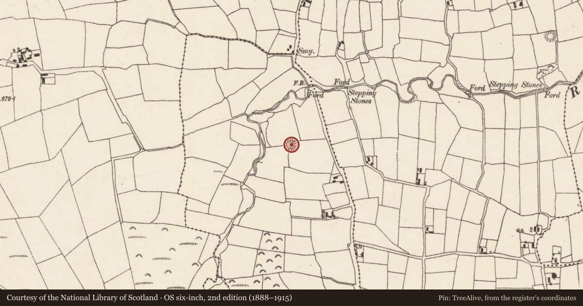 Ordnance Survey six-inch map, 2nd edition (1888–1915) covering the location of Ringfort - rath, Ballyboght, County Cork, with a pin at the register's coordinates