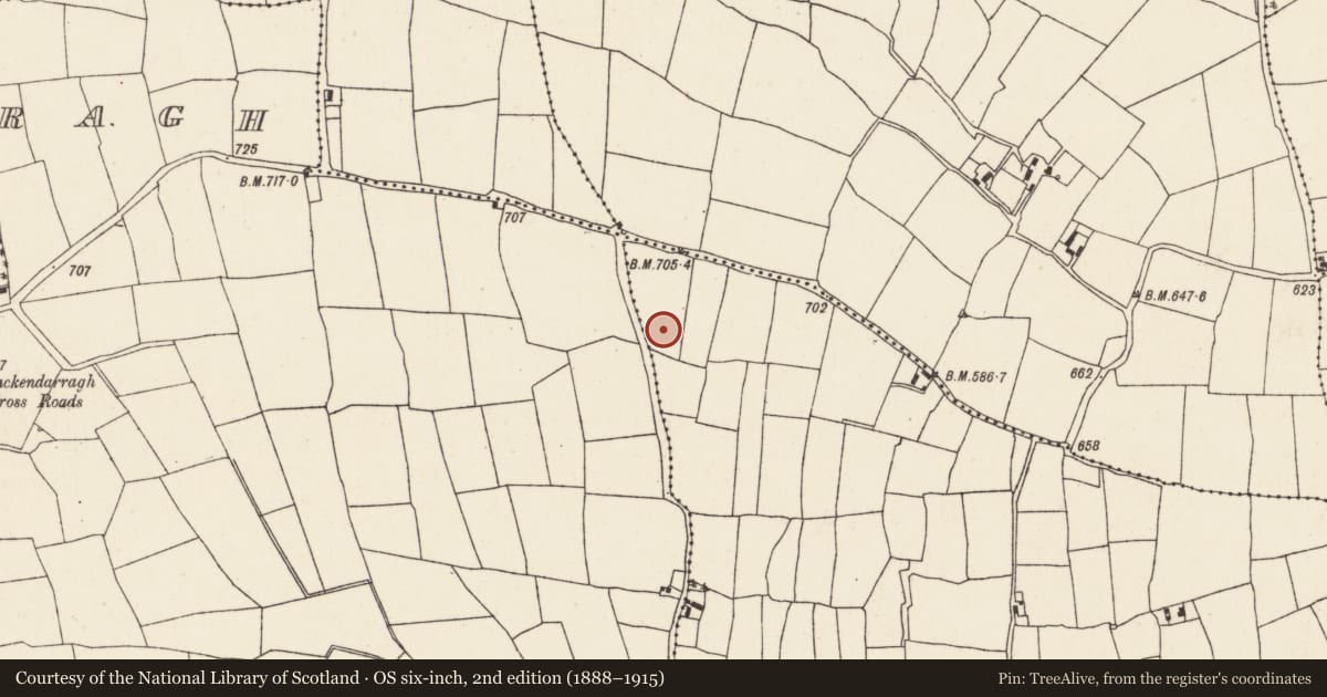 Ordnance Survey six-inch map, 2nd edition (1888–1915) covering the location of Ringfort - rath, Shanavoher (Duhallow By., Kilshannig Par.), County Cork, with a pin at the register's coordinates