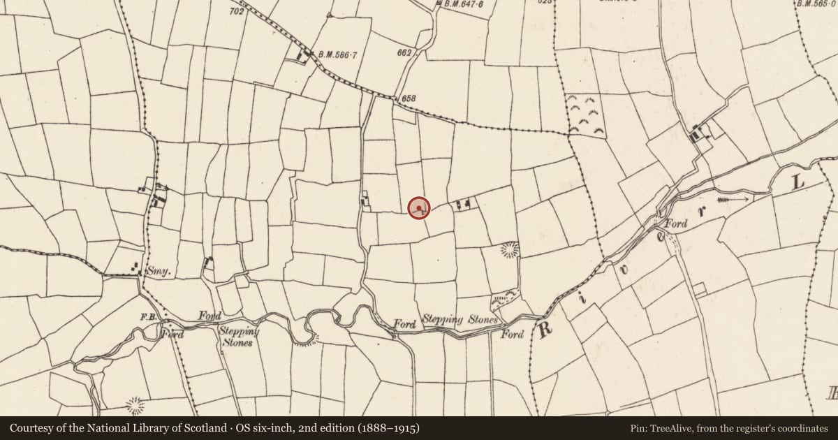 Ordnance Survey six-inch map, 2nd edition (1888–1915) covering the location of Souterrain, Shanavoher (Duhallow By., Kilshannig Par.), County Cork, with a pin at the register's coordinates