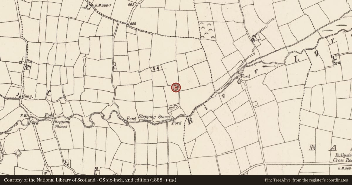 Ordnance Survey six-inch map, 2nd edition (1888–1915) covering the location of Ringfort - rath, Shanavoher (Duhallow By., Kilshannig Par.), County Cork, with a pin at the register's coordinates