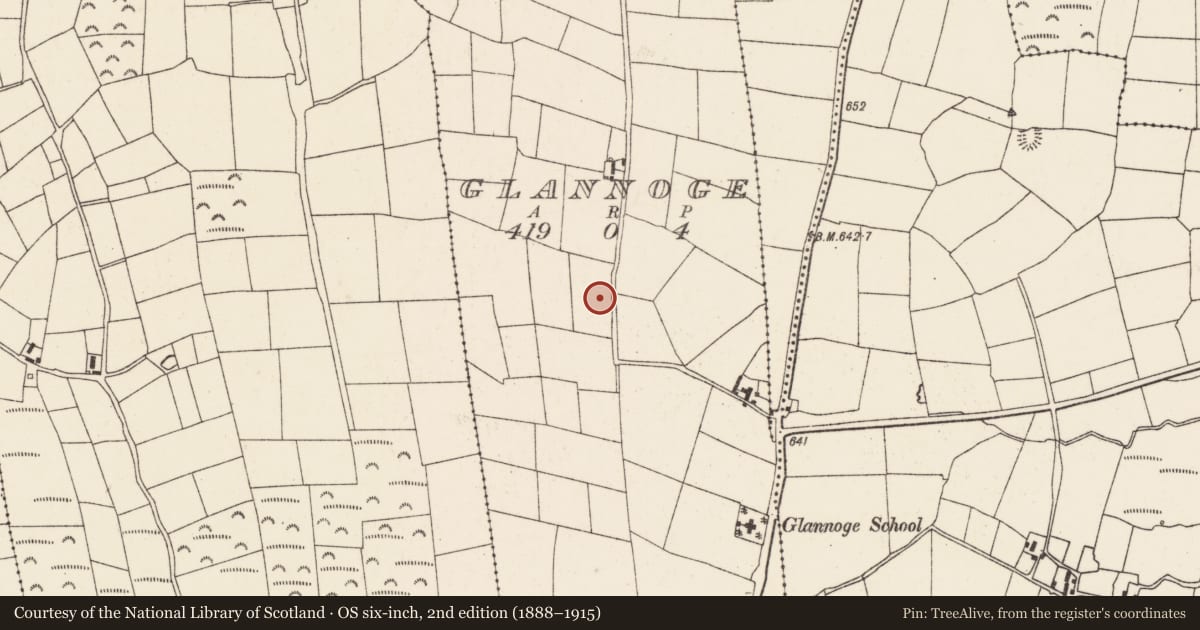 Ordnance Survey six-inch map, 2nd edition (1888–1915) covering the location of Standing stone, Glannoge, County Cork, with a pin at the register's coordinates