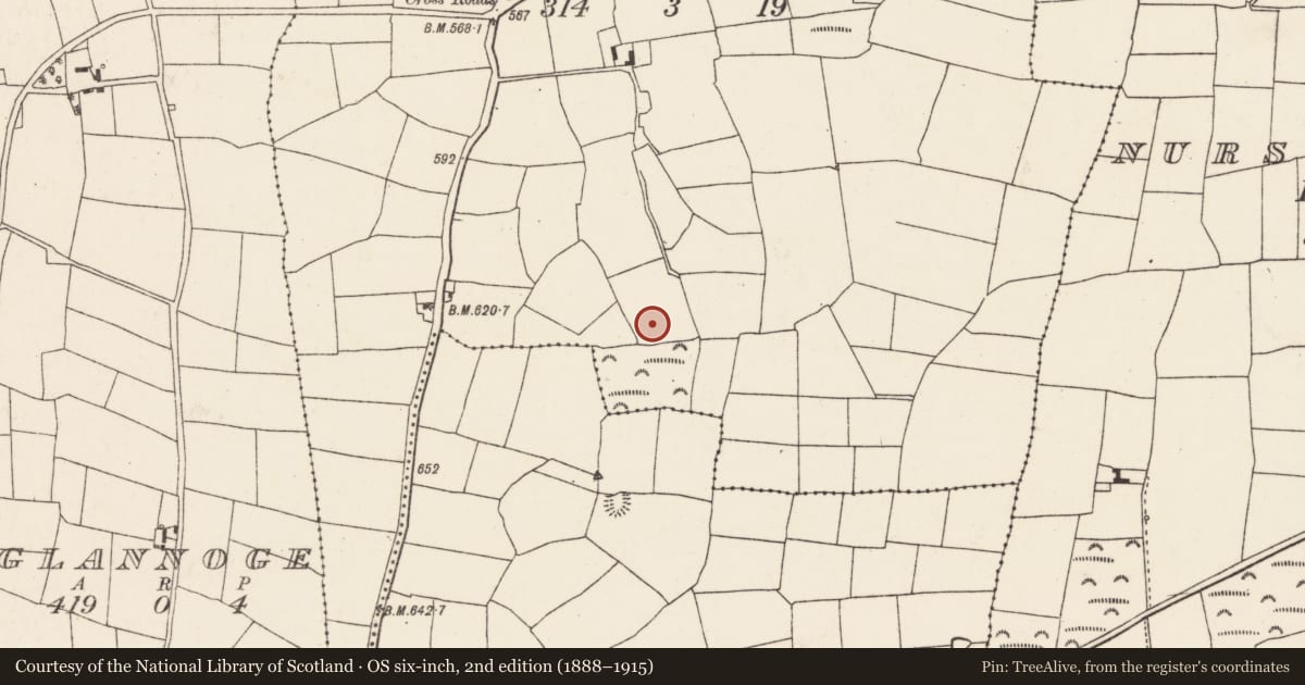 Ordnance Survey six-inch map, 2nd edition (1888–1915) covering the location of Souterrain, Ballysimon, County Cork, with a pin at the register's coordinates