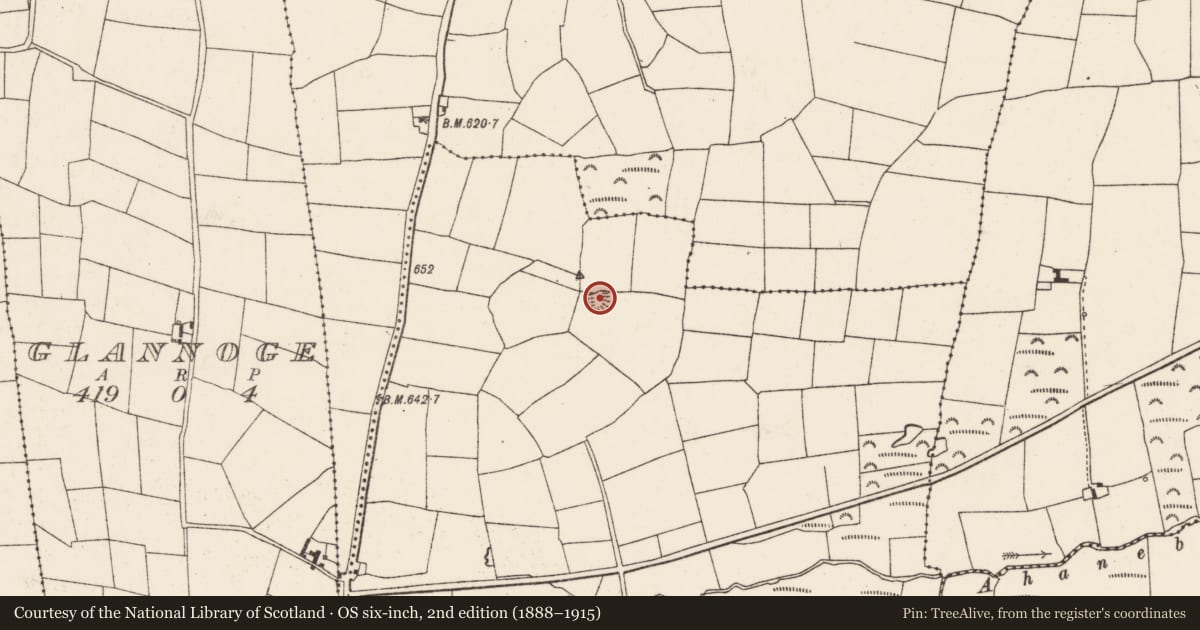 Ordnance Survey six-inch map, 2nd edition (1888–1915) covering the location of Ringfort - rath, Knockdrislagh, County Cork, with a pin at the register's coordinates
