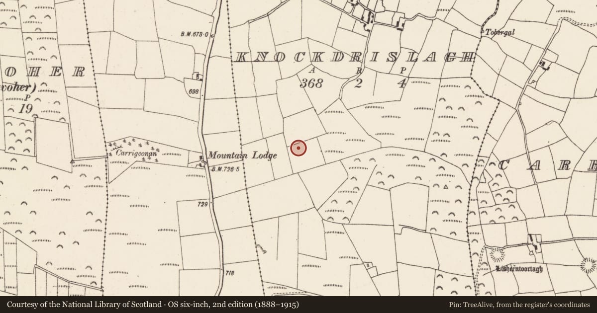 Ordnance Survey six-inch map, 2nd edition (1888–1915) covering the location of Standing stone, Knockdrislagh, County Cork, with a pin at the register's coordinates