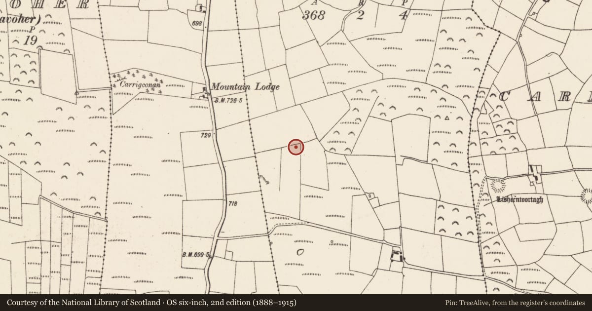 Ordnance Survey six-inch map, 2nd edition (1888–1915) covering the location of Standing stone, Knockdrislagh, County Cork, with a pin at the register's coordinates