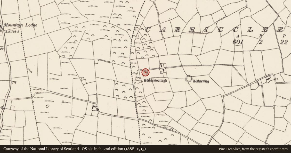 Ordnance Survey six-inch map, 2nd edition (1888–1915) covering the location of Ringfort - rath, Carrigcleena More, County Cork, with a pin at the register's coordinates