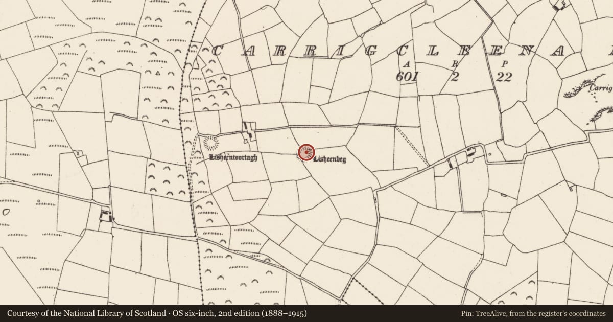 Ordnance Survey six-inch map, 2nd edition (1888–1915) covering the location of Ringfort - rath, Carrigcleena More, County Cork, with a pin at the register's coordinates