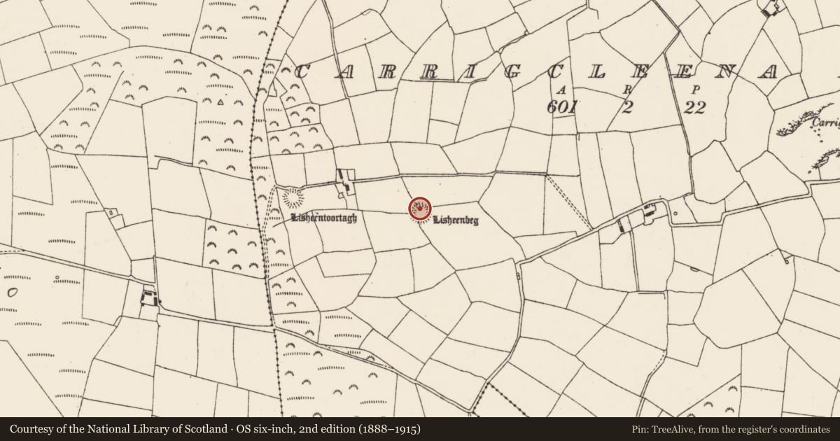 Ordnance Survey six-inch map, 2nd edition (1888–1915) covering the location of Souterrain, Carrigcleena More, County Cork, with a pin at the register's coordinates