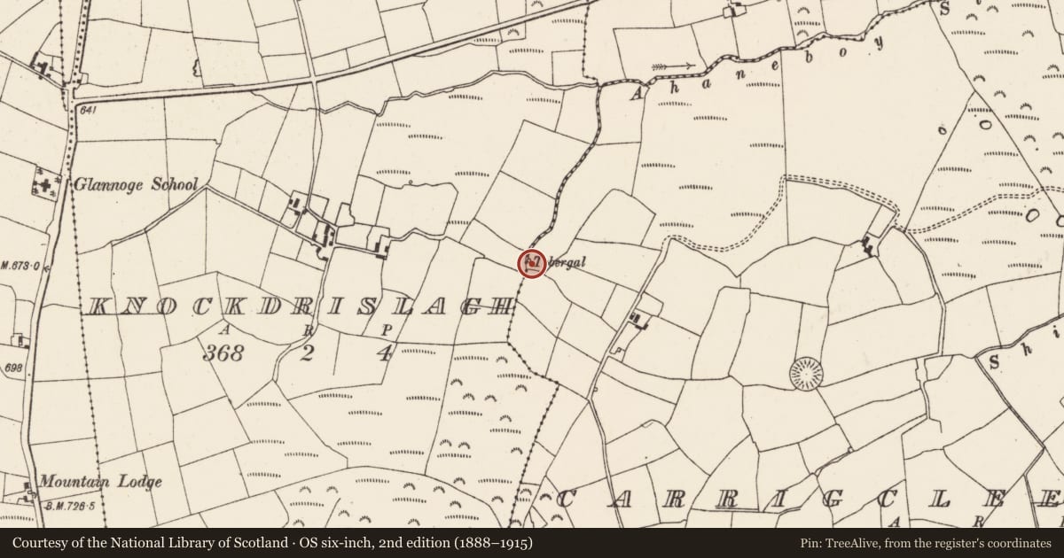 Ordnance Survey six-inch map, 2nd edition (1888–1915) covering the location of Ritual site - holy well, Carrigcleena More, County Cork, with a pin at the register's coordinates