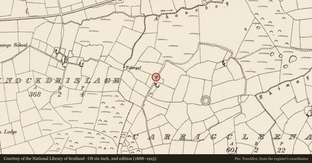 Ordnance Survey six-inch map, 2nd edition (1888–1915) covering the location of Souterrain, Carrigcleena More, County Cork, with a pin at the register's coordinates