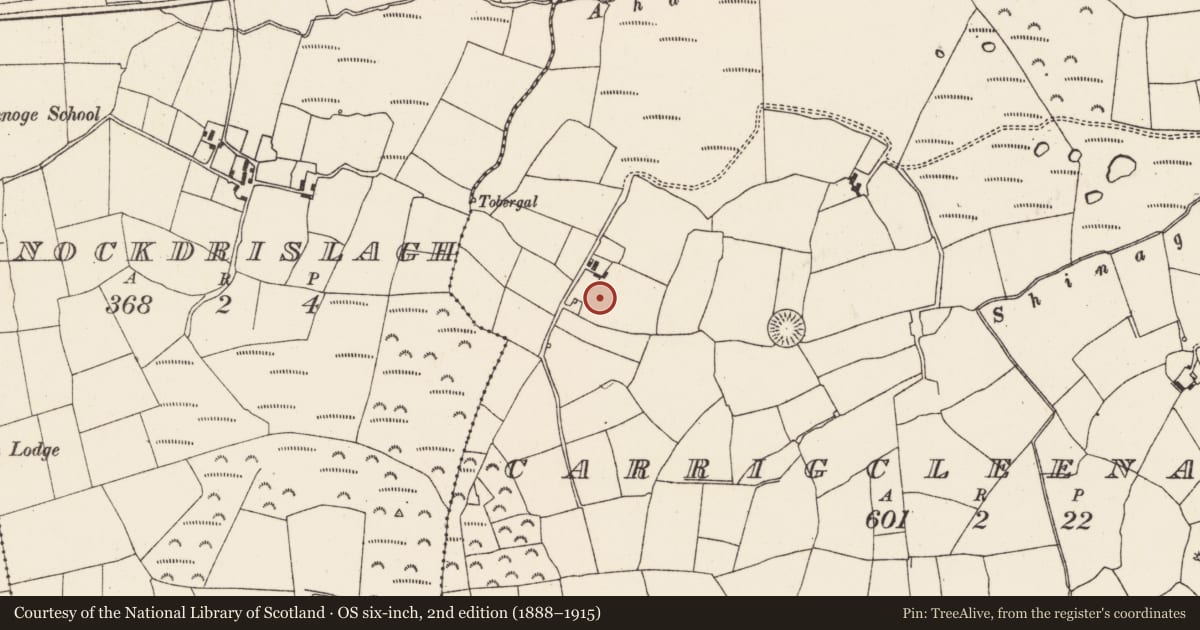 Ordnance Survey six-inch map, 2nd edition (1888–1915) covering the location of Standing stone, Carrigcleena More, County Cork, with a pin at the register's coordinates