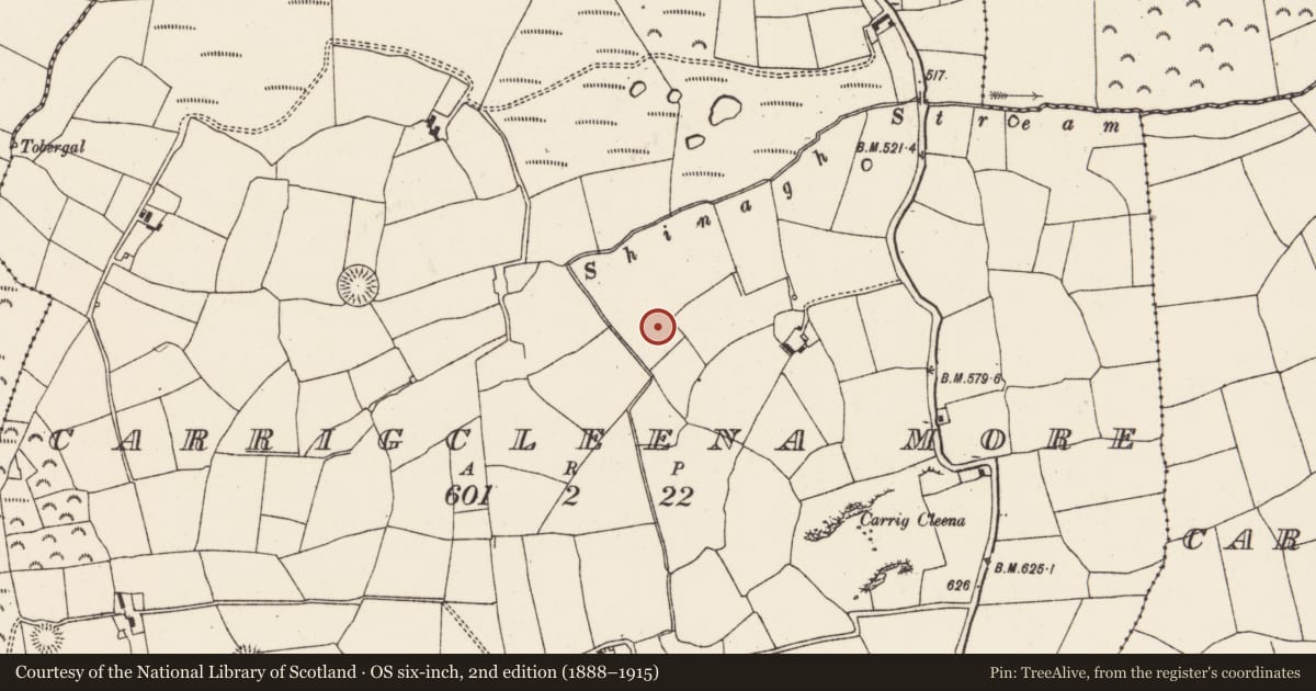 Ordnance Survey six-inch map, 2nd edition (1888–1915) covering the location of Fulacht fia, Carrigcleena More, County Cork, with a pin at the register's coordinates