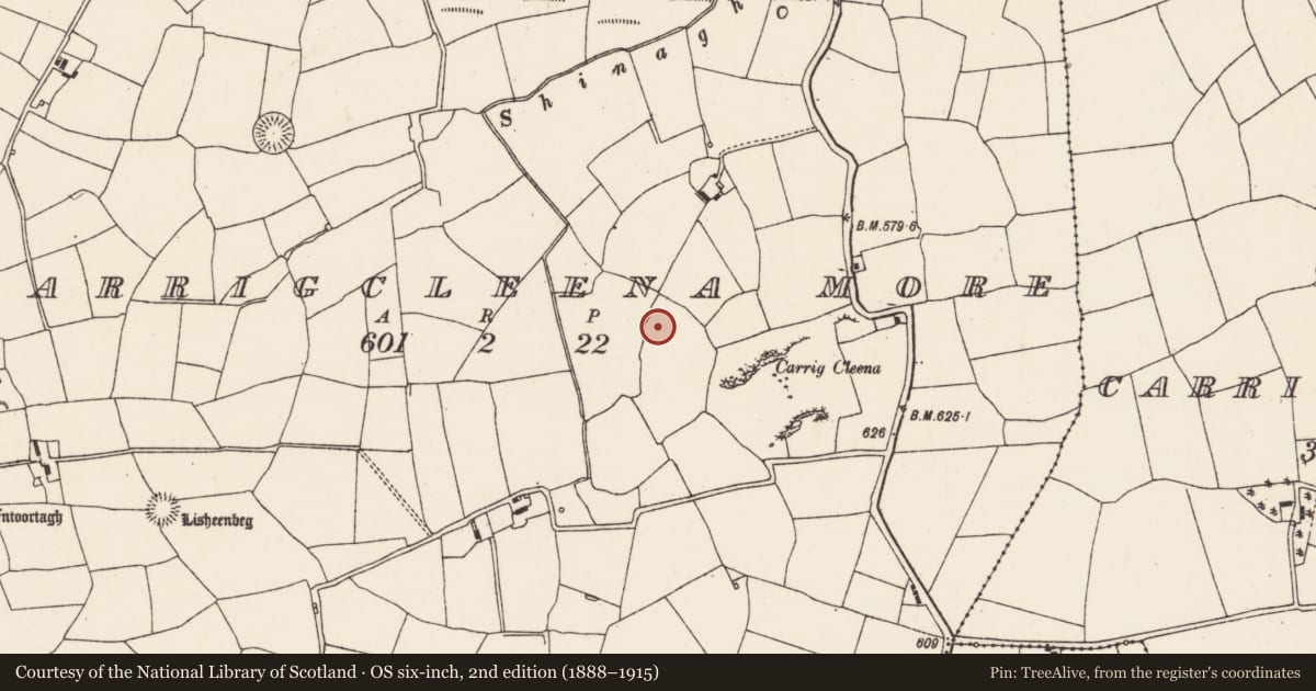 Ordnance Survey six-inch map, 2nd edition (1888–1915) covering the location of Souterrain, Carrigcleena More, County Cork, with a pin at the register's coordinates