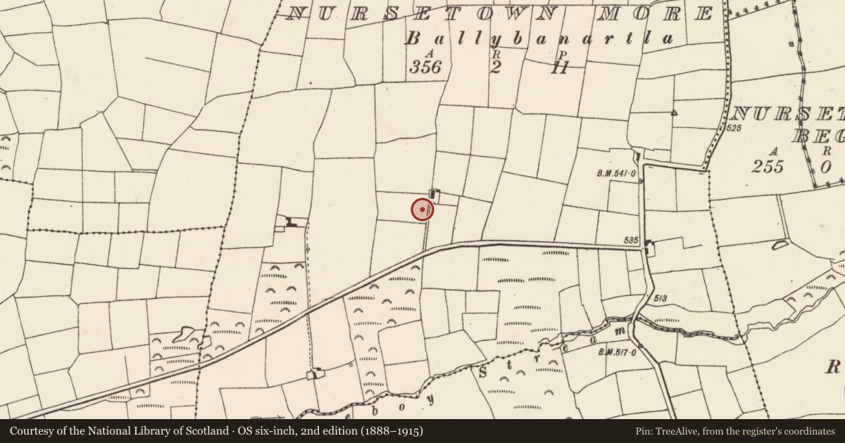 Ordnance Survey six-inch map, 2nd edition (1888–1915) covering the location of Fulacht fia, Nursetown More, County Cork, with a pin at the register's coordinates