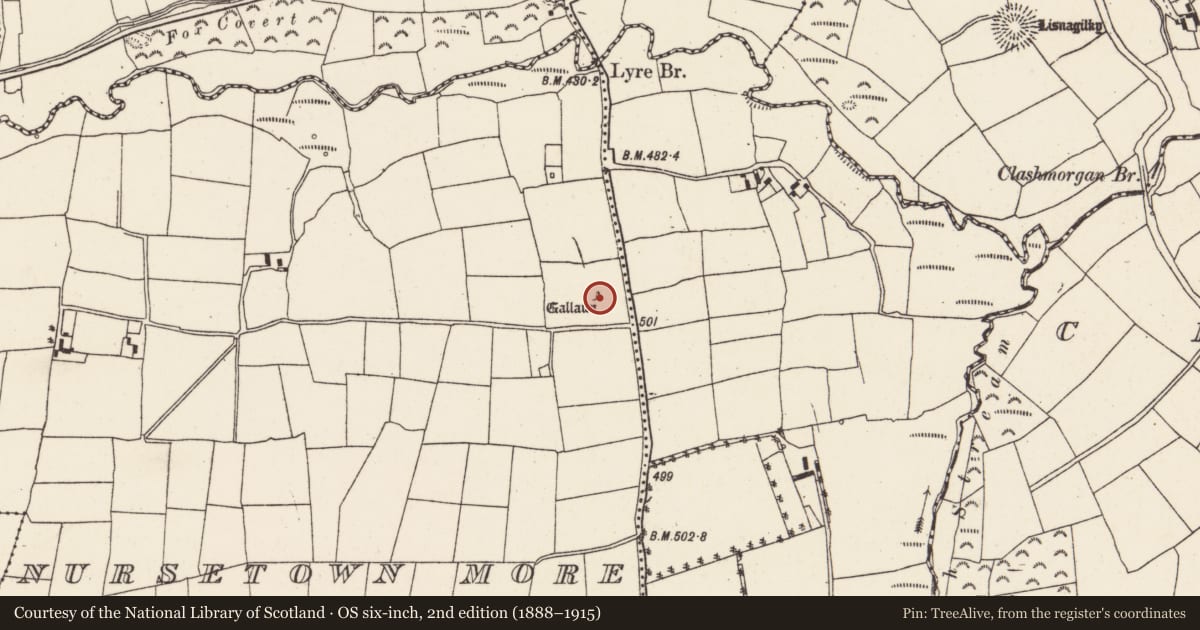 Ordnance Survey six-inch map, 2nd edition (1888–1915) covering the location of Standing stone, Nursetown More, County Cork, with a pin at the register's coordinates