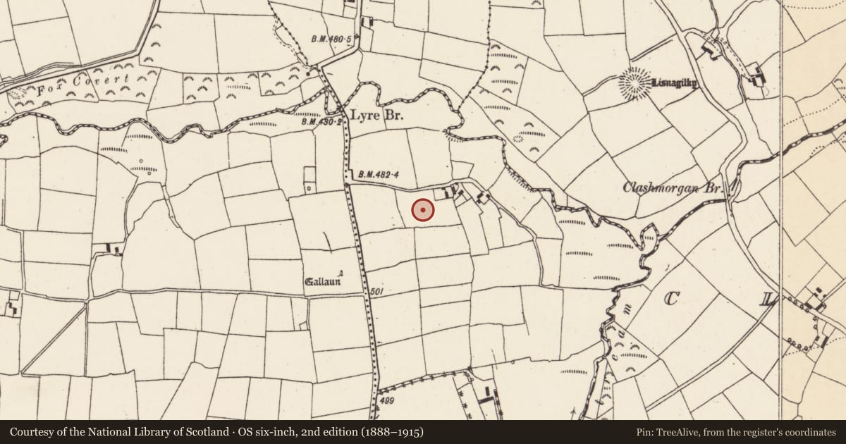 Ordnance Survey six-inch map, 2nd edition (1888–1915) covering the location of Souterrain, Nursetown Beg, County Cork, with a pin at the register's coordinates