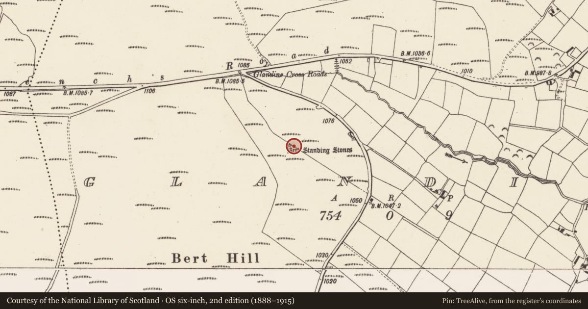 Ordnance Survey six-inch map, 2nd edition (1888–1915) covering the location of Standing stone - pair, Glandine, County Cork, with a pin at the register's coordinates