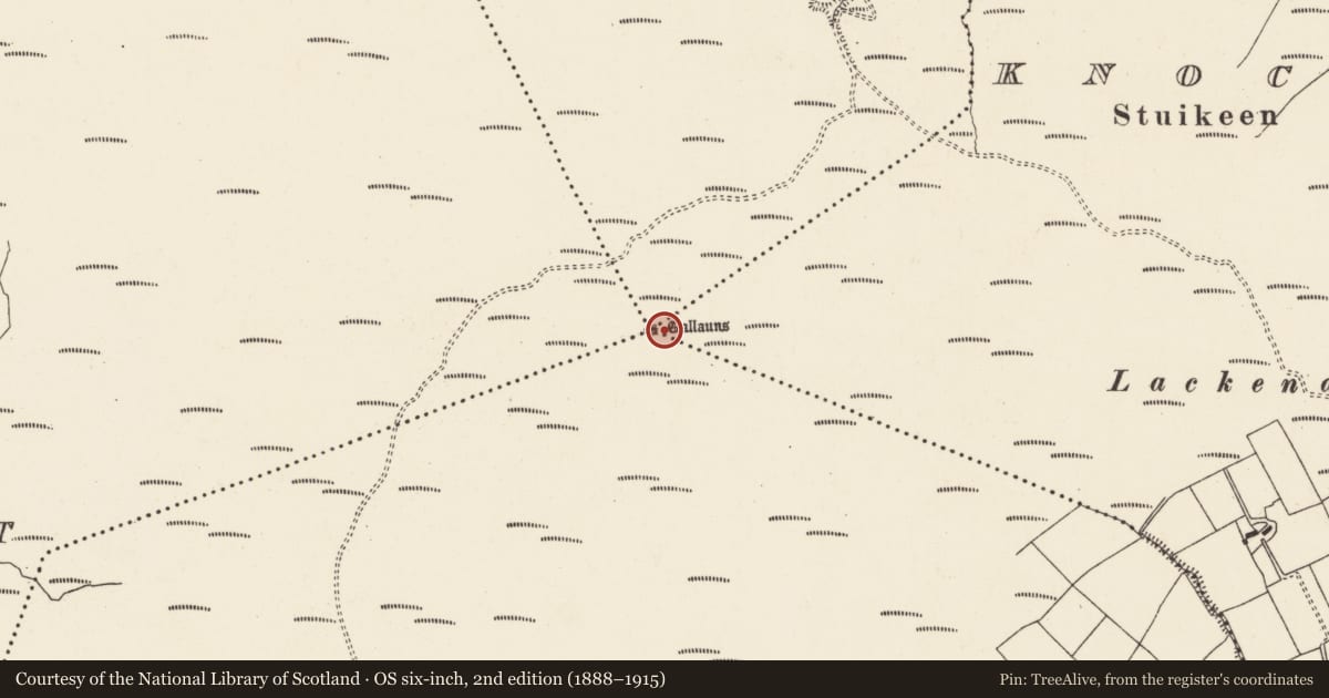 Ordnance Survey six-inch map, 2nd edition (1888–1915) covering the location of Stone row, County Cork, with a pin at the register's coordinates
