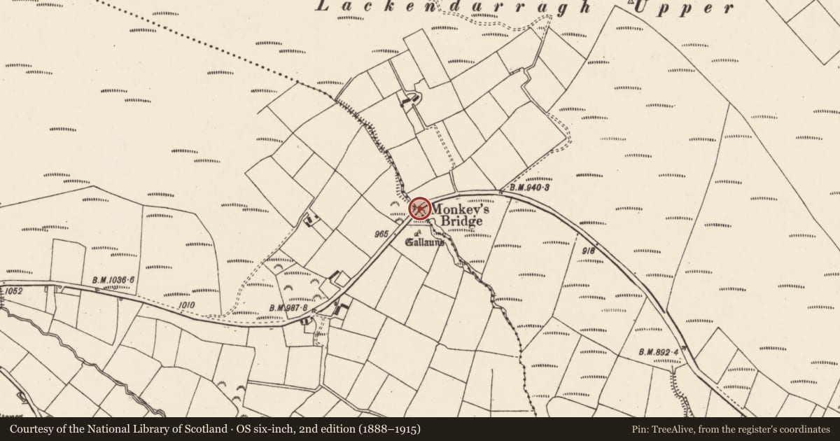 Ordnance Survey six-inch map, 2nd edition (1888–1915) covering the location of Bridge, Glandine, Knockavaddra, County Cork, with a pin at the register's coordinates