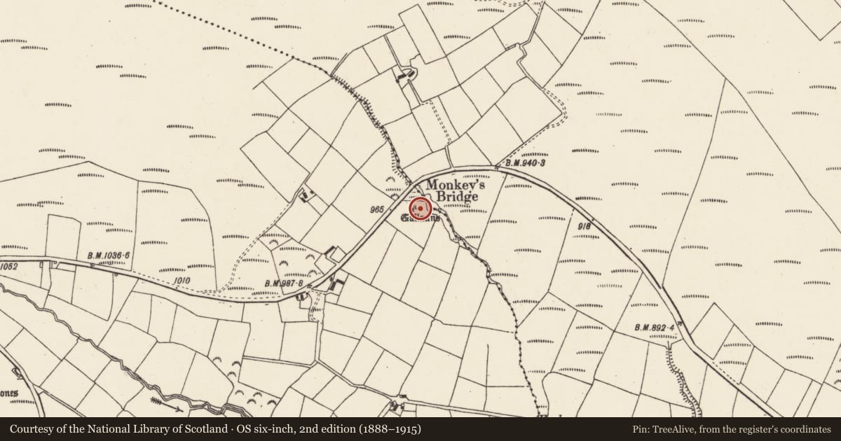 Ordnance Survey six-inch map, 2nd edition (1888–1915) covering the location of Standing stone - pair, Glandine, County Cork, with a pin at the register's coordinates