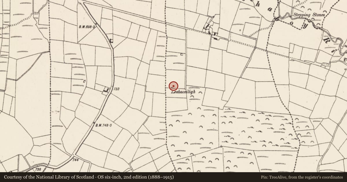 Ordnance Survey six-inch map, 2nd edition (1888–1915) covering the location of Megalithic tomb - wedge tomb, Beennamweel East, County Cork, with a pin at the register's coordinates