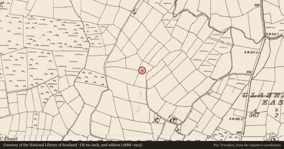 Ordnance Survey six-inch map, 2nd edition (1888–1915) covering the location of Enclosure, Glashaboy West, County Cork, with a pin at the register's coordinates
