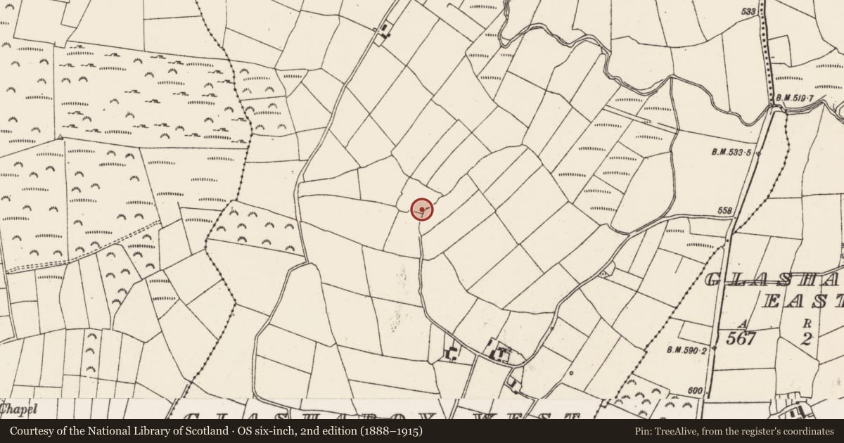 Ordnance Survey six-inch map, 2nd edition (1888–1915) covering the location of Fulacht fia, Glashaboy West, County Cork, with a pin at the register's coordinates