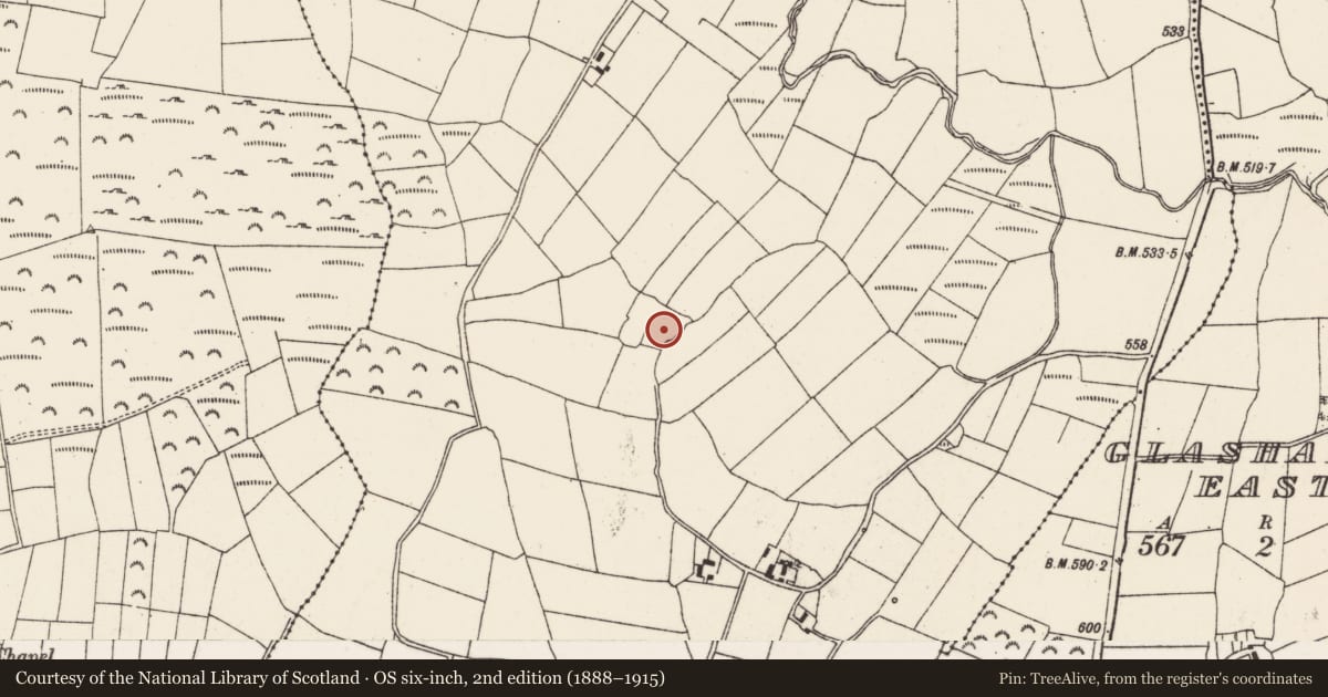 Ordnance Survey six-inch map, 2nd edition (1888–1915) covering the location of Fulacht fia, Glashaboy West, County Cork, with a pin at the register's coordinates