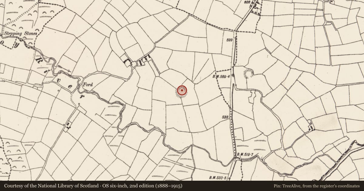 Ordnance Survey six-inch map, 2nd edition (1888–1915) covering the location of Souterrain, Glashaboy West, County Cork, with a pin at the register's coordinates