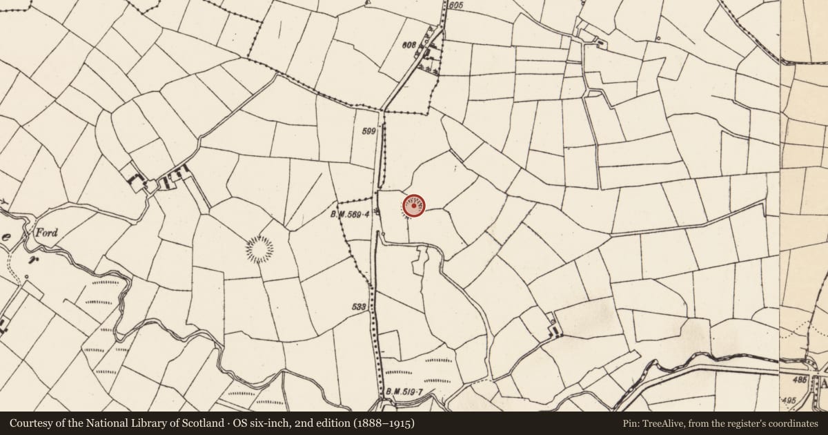 Ordnance Survey six-inch map, 2nd edition (1888–1915) covering the location of Ringfort - rath, Glashaboy East, County Cork, with a pin at the register's coordinates